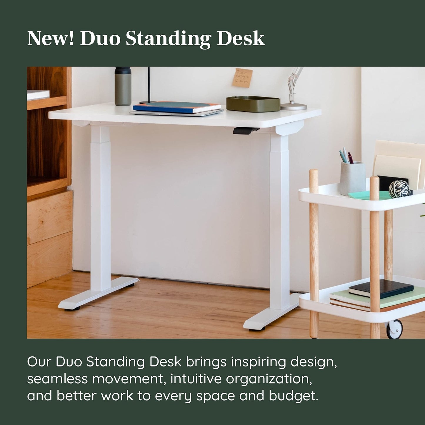 Branch Duo Standing Desk 48 Inches - Adjustable Standing Desk with 20” Range - OLED Control Panel - Frameless Design & Compact Size Suitable for Many Spaces - White Base - White Top - FocusAid Essentials: Empowering ADHD Living