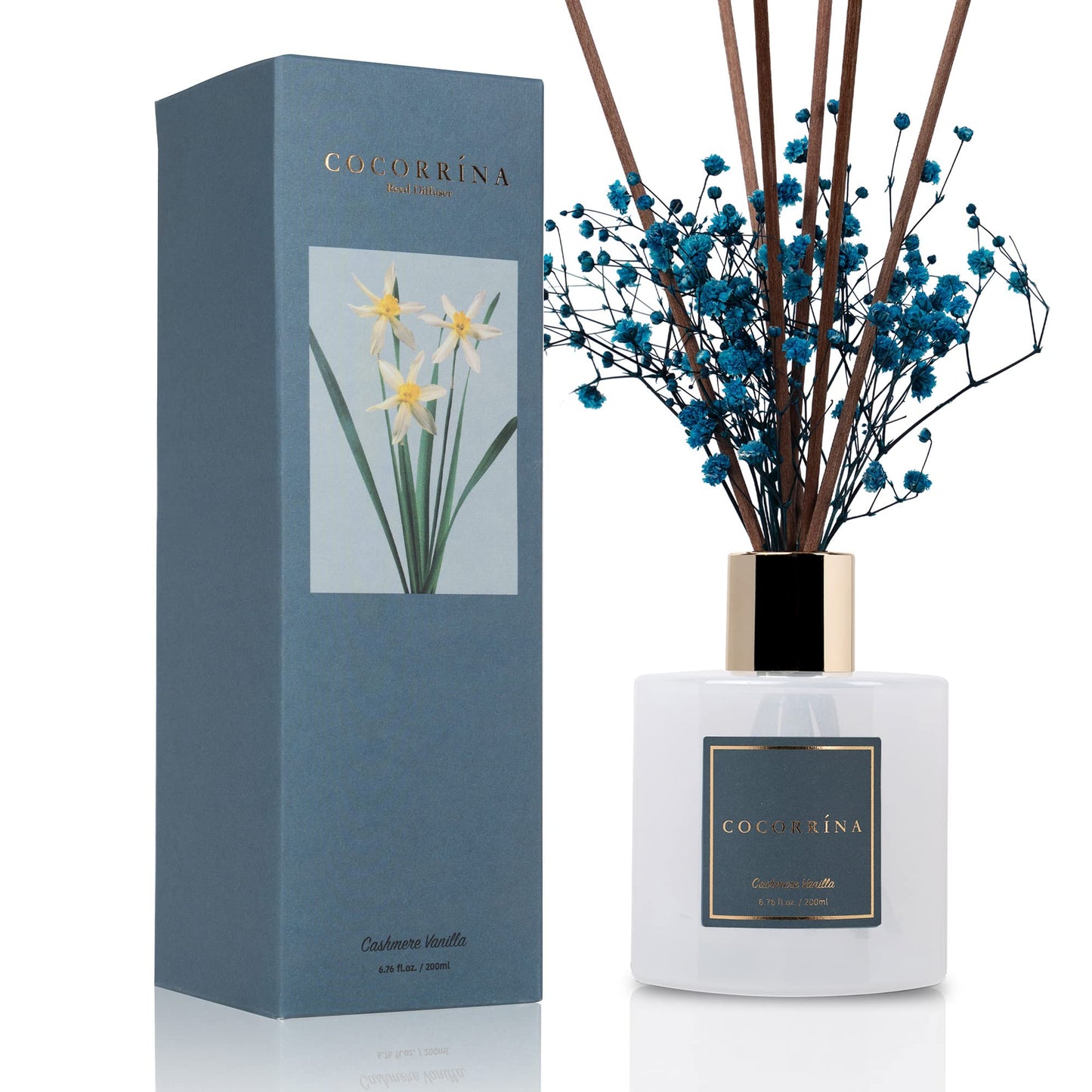 Cocorrína Premium Reed Diffuser Set with Preserved Baby's Breath & Cotton Stick Cashmere Vanilla | 6.7oz Scent Fragrance Oil Diffuser for Bedroom Bathroom Home Décor - FocusAid Essentials: Empowering ADHD Living