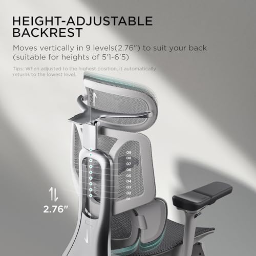 Hbada E3 Pro Ergonomic Office Chair, Big and Tall Office Chair - with 3 - Zone Dynamic Lumbar Support, 4D Adjustable Headrest, 6D Adjustable Armrests, Swivel Computer Chair for Home Office, Grey - FocusAid Essentials: Empowering ADHD Living